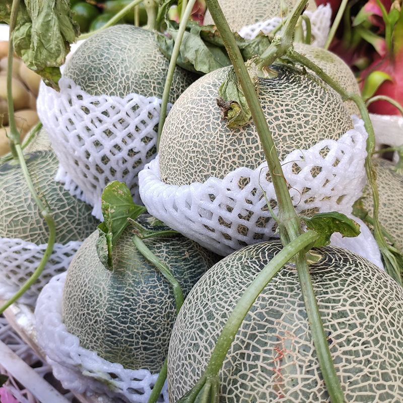 Dưa lưới (1 trái)